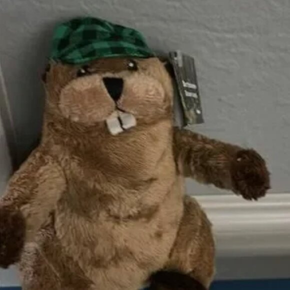 20 Plush Beavers for @therealstp007's Bundle - Picture 1 of 1